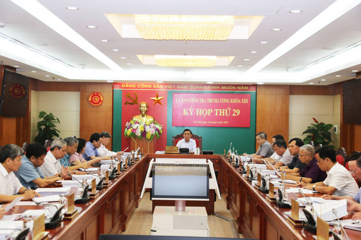 Trước đó, tại kỳ họp thứ 29, Ủy ban Kiêm tra Trung ương kết luận, Ban Thường vụ Tỉnh ủy Thanh Hóa đã vi phạm nguyên tắc tập trung dân chủ, quy chế làm việc; thiếu trách nhiệm, buông lỏng lãnh đạo, chỉ đạo, thiếu kiểm tra, giám sát để Đảng đoàn HĐND tỉnh, Ban cán sự đảng UBND tỉnh và nhiều tổ chức, cá nhân vi phạm nghiêm trọng quy định của Đảng, pháp luật của Nhà nước trong việc chấp thuận chủ trương, trong quy hoạch, điều chỉnh quy hoạch, trong giao đất, cấp giấy chứng nhận và tính tiền sử dụng đất, trong phân bổ, quản lý và sử dụng ngân sách cho một số dự án, trong đó có các dự án do Công ty Cổ phần Tập đoàn FLC, Công ty Cổ phần Tiến bộ Quốc tế (AIC) thực hiện.