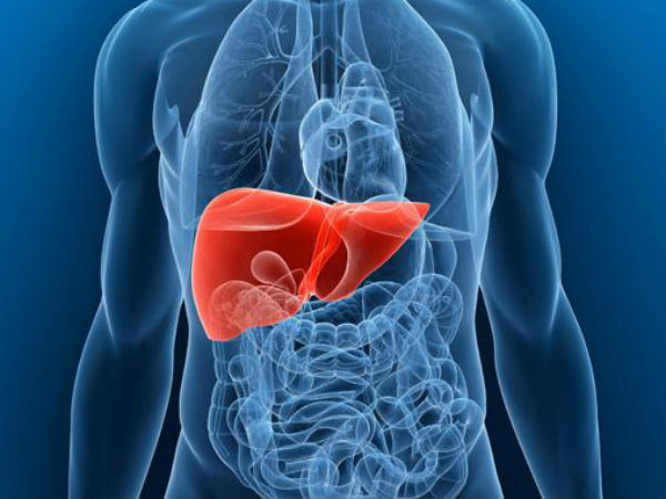 Mật ong sẽ làm cho gan sản xuất glucose, điều này thúc đẩy sự giải phóng nhiều hormon đốt cháy chất béo. Mật ong chứa cả fructose và glucose, rất tốt cho hoạt động của gan vào ban đêm.