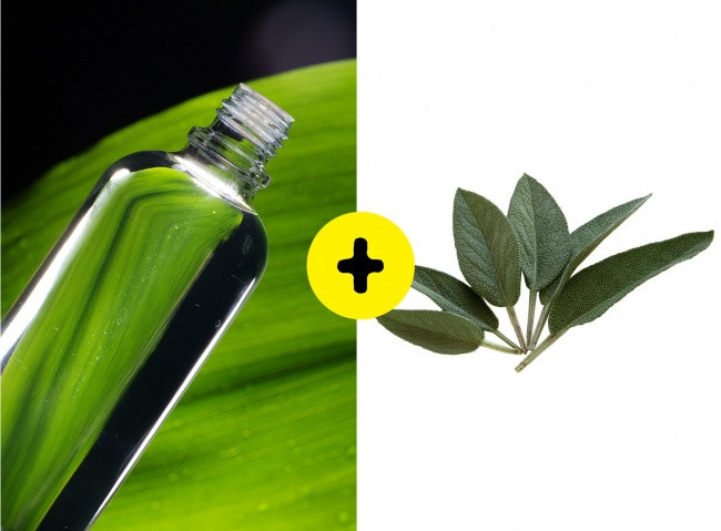 Sử dụng dưỡng tóc thảo mộc từ cây xô thơm giúp trị tóc nhờn. Bạn sẽ cần 4 muỗng canh lá xô thơm khô pha giống như trà thông thường. Dùng nước lá này gội đầu.