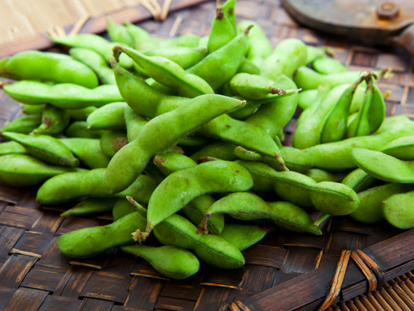 Theo các nghiên cứu, đậu nành có chứa chất estrogen, sử dụng quá nhiều làm tăng nồng độ estrogen của cơ thể, do đó ảnh hưởng đến sức khỏe giới tính nam. Bạn nên sử dụng đậu nành ở mức vừa phải.