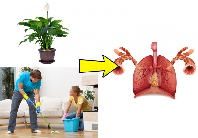 Vệ sinh và làm sạch không khí trong nhà chính là một ý tưởng tốt để bạn không hít vào những độc tố.
