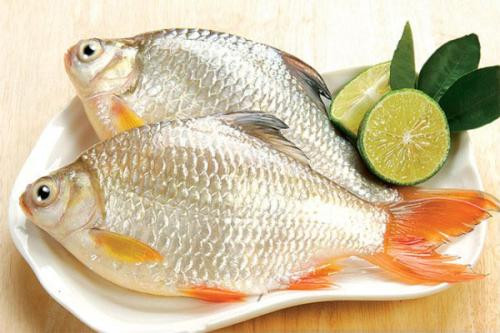 Cá diếc có thể bổ âm huyết, thông huyết mạch, bổ thể nhược, còn có công hiệu ích khí kiện tì, lợi nước tiêu sưng, thanh nhiệt giải độc, thông mạch hạ sữa, khử phong thấp. Cá diếc cũng rất tốt cho phụ nữ mang thai. Tuy nhiên, bạn lưu ý không dùng cá diếc với tỏi bởi sự kết hợp này sẽ gây co giật đường tiêu hóa.