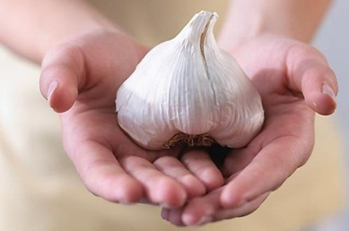Trong giai đoạn cho con bú, các mẹ hãy tránh xa món ăn có tỏi. Nếu ăn, mùi tỏi sẽ tồn lại trong sữa mẹ rất lâu, có khi kéo dài tới 2 tiếng sau khi ăn. Trẻ sơ sinh rất nhạy cảm với vị lạ nên có thể sẽ bỏ bú.