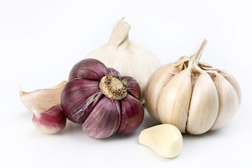 Người bệnh gan tuyệt đối không ăn món ăn nhiều tỏi hoặc tỏi sống bởi có thể gây ức chế tiết dịch, ảnh hưởng đến việc tiêu hóa thức ăn, khiến người bệnh dễ buồn nôn, mệt mỏi. Ngoài ra, các thành phần dễ bay hơi của tỏi làm giảm hemoglobin có thể dẫn đến thiếu máu, cản trở việc điều trị bệnh gan.