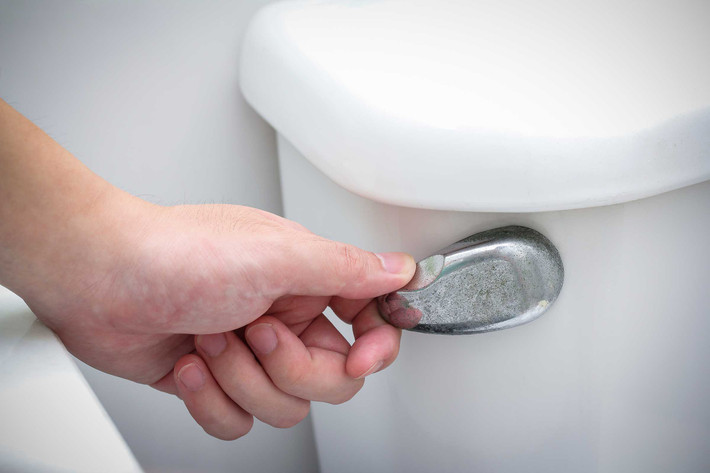 Ít ai biết rằng, tư thế đúng khi đi vệ sinh phải là ngồi xổm.