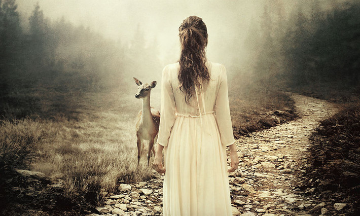 Trong suốt 10 năm, Martin Stranka đã có cơ hội được tiếp xúc, gặp gỡ, trò chuyện và chứng kiến nhiều con người tốt bụng, sẵn sàng cứu giúp những động vật hoang dã đang gặp nguy. (Nguồn Bored Panda)
