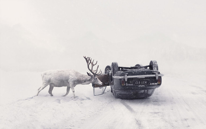 Để kỷ niệm 10 năm sự nghiệp làm nhiếp ảnh gia tự do của mình, Martin Stranka quyết định sẽ thực hiện loạt ảnh theo chủ nghĩa siêu thực với những động vật hoang dã gặp nạn đã được cứu thoát, nhằm nhấn mạnh vẻ đẹp nội tâm của những con người giàu lòng nhân ái, giàu lòng yêu động vật. (Nguồn Bored Panda)