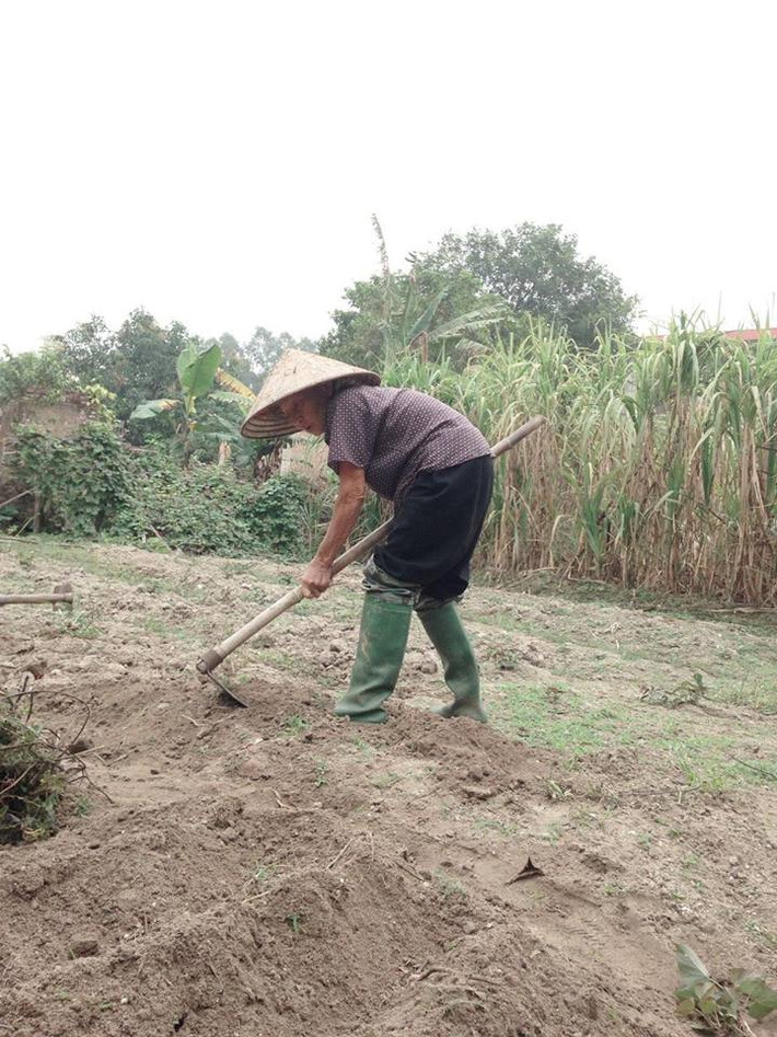Để không phụ công bà một mình vật lộn với cuộc sống mưu sinh chăm lo cho cháu gái bé nhỏ thành người, được đi học đại học, cô nữ sinh Công Nghiệp luôn cố gắng là cháu ngoan, trò giỏi. Và trong suốt những năm học khi còn ngồi trên ghế nhà trường, Nguyễn Thị Phượng luôn là học sinh giỏi trong lớp cũng như cấp huyện, cấp tỉnh, nhận được nhiều học bổng. Cô bạn cũng từng là lớp phó, Bí thư, thành viên trong Ban chấp hành Đoàn trường...
