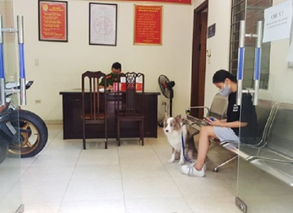Cô gái ở Hà Nội dắt chó đi dạo bị phạt 2 triệu đồng. Trong sáng 24/7, ngày đầu tiên Hà Nội giãn cách xã hội theo Chỉ thị 17 của UBND TP, Công an phường Hàng Trống (quận Hoàn Kiếm) đã xử phạt chị L.H.H. 2 triệu đồng do vi phạm phòng dịch. Tổ tuần tra kiểm soát khi đi làm nhiệm vụ đã phát hiện chị H. dắt chó đi dạo trên phố Hàng Trống vào sáng cùng ngày. Ảnh: Zing.