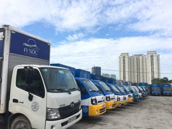 Dịch vụ hỗ trợ vận chuyển, xuất, nhập khẩu hàng hóa.