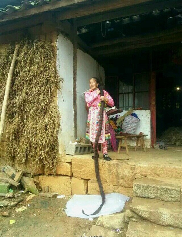 Bà Mỹ Anh cho biết, để mái tóc có độ dài như hiện tại, bà đã ngừng cắt tóc từ năm 24 tuổi, tính đến nay đã được 35 năm. Trong suốt từng ấy năm, mặc dù khá vất vả để có thể nuôi một bộ tóc dài kỷ lục, nặng mà vẫn đảm bảo công việc đồng áng, bà Mỹ Anh vẫn luôn kiên trì.