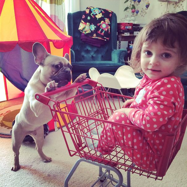 Đang chơi vui vẻ với cô chủ nhỏ thì bị làm phiền. Chú chó bulldog khó tính này bực mình liếc xéo kẻ không biết điều đầy tức giận.