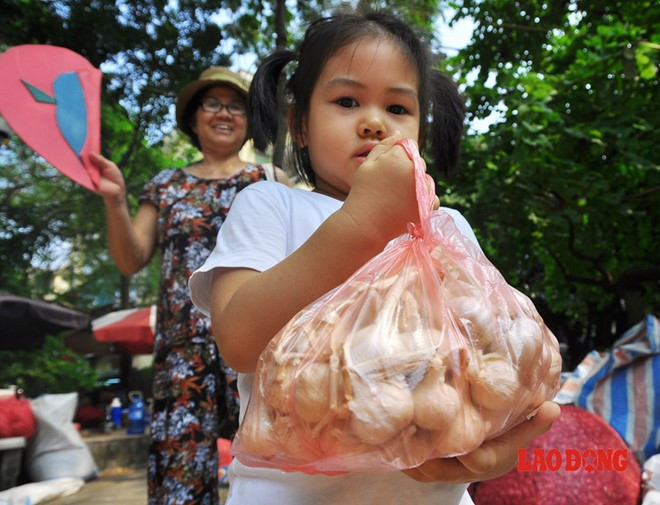 "Gia đình sống bằng nghề trồng hành, tỏi nên tôi thấu hiểu được sự vất vả của người dân. Tôi quyết định đứng ra thu mua hành, tỏi của bà con và mang ra Thủ đô phân phối. Dù biết số lượng thu mua của tôi không thấm vào đâu so với số hành, tỏi bị tồn đọng nhưng giúp đỡ được bà con là tôi thấy vui rồi", anh Thắm tâm sự.