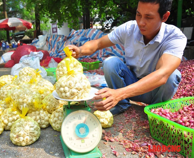Hiện tại, số lượng hành, tỏi được đưa ra Hà Nội được bán với giá cao nhất là 75.000đ/kg tỏi, 45.000đ/kg hành nhằm khẳng định thương hiệu. Anh Thắm cho biết, do địa điểm bán của anh chưa có nhiều người biết đến nên số lượng bán được khá ít.