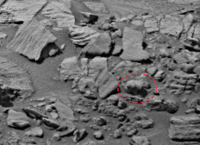 Cũng theo Scott, anh rất bất ngờ khi thấy hình ảnh do robot thám hiểm tự hành Curiosity của NASA gửi về hàng ngày. Kiểm tra đi kiểm tra lại, Scott khẳng định đây là một sinh vật sống trên sao Hỏa và hình dạng tương tự như một con gấu con.