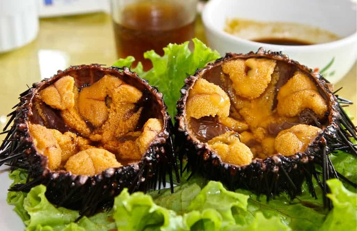 Cầu gai còn gọi là nhum biển hay nhím biển, được ví như là nhân sâm biển vì nhiều tác dụng hữu ích. Theo nghiên cứu của y học thì cầu gai có tác dụng bổ thận, tráng dương, tăng cường sinh lực cho phái mạnh, ngoài ra còn là một món ăn tăng cường canxi cho cơ thể.