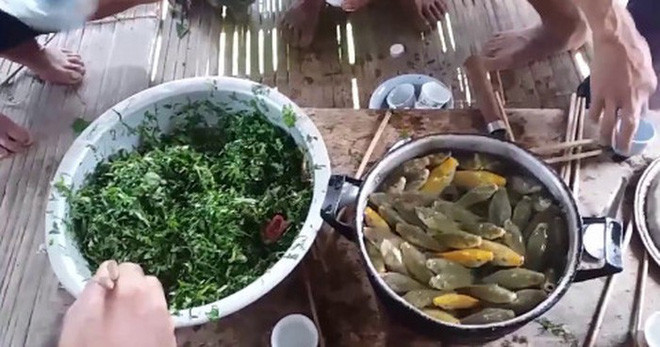 Gỏi cá nhảy ở Sơn La: Đây là một món ăn quen thuộc với "cánh đàn ông" ở Sơn La. Tuy nhiên, cách ăn món cá này lại không hề bình thường chút nào. Trái lại, nó còn có cách chế biến vô cùng kỳ lạ và đ.ộc đáo.