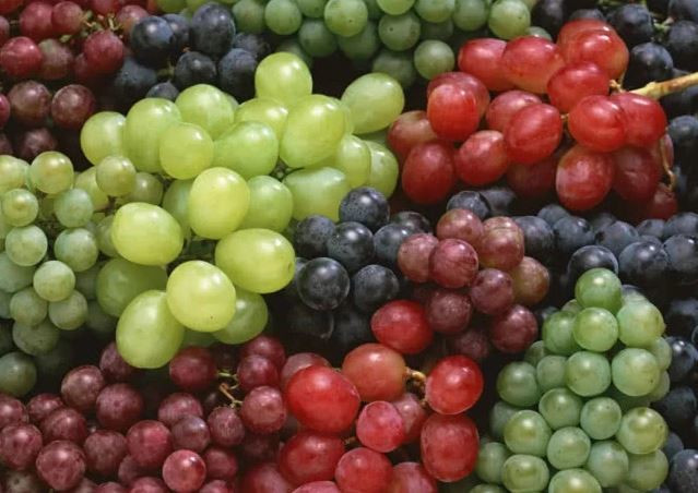 Nho: Quả này khá giàu chất chống oxy hóa resveratrol, giúp ngăn ngừa bệnh tim mạch bằng cách hạ huyết áp và giảm ngưng tụ của tiểu cầu, ngăn chặn hình thành cục máu đông. Trong nho còn có các chất flavonoid có thể chống lại lão hóa và thanh trừ gốc tự do trong cơ thể, ngăn ngừa cơn đau dạ dày, các tế bào ung thư đường ruột và ung thư vú.