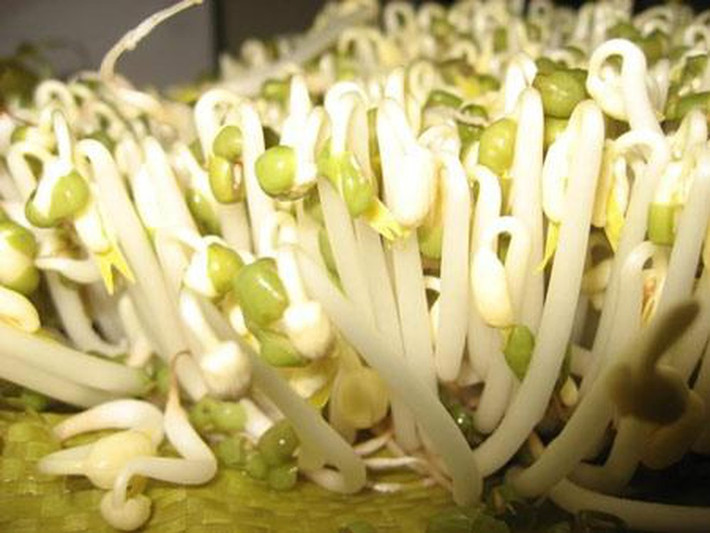 Giá đỗ: Giá đỗ ủ theo phương pháp truyền thống thường mất nhiều thời gian, không đẹp mắt và chóng hỏng. Để tăng lợi nhuận những người làm giá đỗ có thể dùng hoạt chất trong công nghiệp bột giặt (Soda ASH Light) để kích thích tăng trưởng, kéo dài tuổi thọ và giá đỗ bắt mắt hơn. Lâu ngày, chất độc này ngấm vào cơ thể sẽ gây tổn thương gan, thận, thần kinh, các bệnh mãn tính, thậm chí là ung thư…