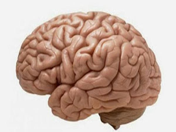 Nếu bạn muốn tăng trí thông minh của mình, điều quan trọng là phải phát triển thói quen học hỏi những điều mới mỗi ngày, ngay từ những việc đơn giản như đọc 1 bài báo mỗi ngày hoặc nghe một bản tin buổi sáng.