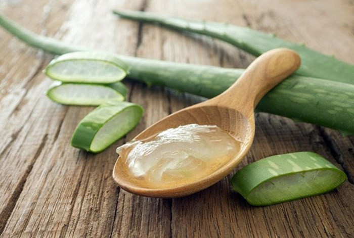 Gel lô hội có tác dụng làm dịu, hồi phục, nuôi dưỡng làn da môi và ngăn ngừa nứt nẻ. Bôi gel lô hội lên môi 15 phút mỗi ngày sẽ giúp môi mềm mịn.