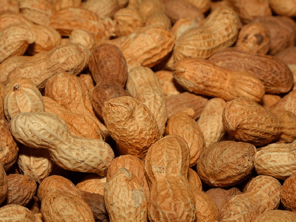 Đậu phộng giàu axit béo omega-3 và magiê, cả hai đều có thể làm giảm nguy cơ ung thư ruột già.
