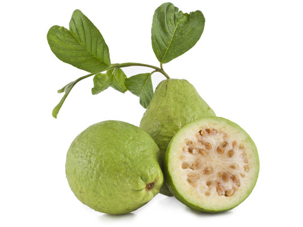 Ổi rất giàu vitamin C, giúp tế bào ruột chống lại các tế bào ung thư, giúp ngăn ngừa ung thư đại tràng.