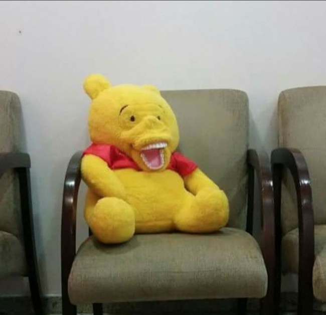 Có lẽ nào chú gấu này đã ăn quá nhiều mật ong dẫn đến sâu răng và phải thay bộ hàm mới?