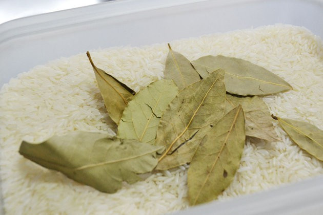 Đuổi mọt gạo: Để đuổi những con mọt gạo đáng ghét, hãy dùng lá nguyệt quế hoặc đinh hương phơi khô rồi để vào trong thùng gạo hoặc để gần nơi đựng lương thực. Lũ mọt sẽ tránh xa vì hai nguyên liệu này đều có mùi hắc. Ảnh: BS.
