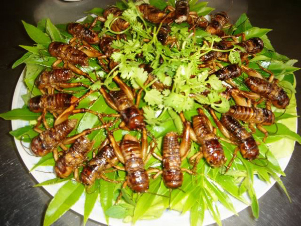 Dế cơm chiên mắm là món đặc sản dân dã có từ rất lâu ở Long Khánh. Dế cơm chỉ cần lặt sạch cánh, lặt hai chân sau (để đùi lại, hai đùi dế rất béo), móc ruột bỏ hết, xong nhét hột đậu phộng vào ruột, rồi ướp nước mắm, nêm cho vừa ăn. Sau đó, chiên dế vàng đều trong chảo dầu sôi.