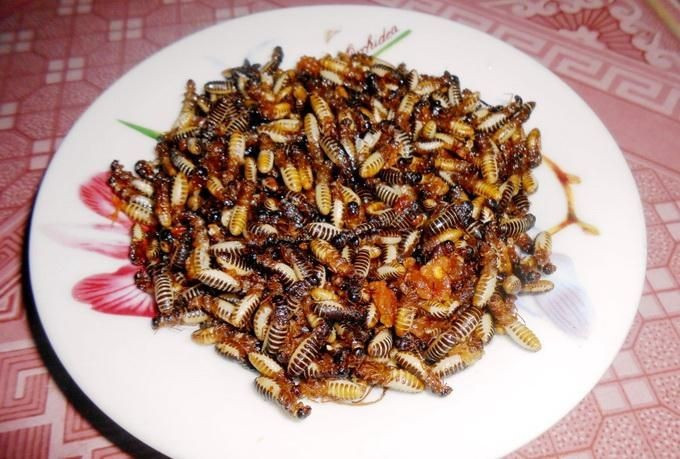 Mối chiên: Ở Nam Phi, người dân nơi đây sử dụng mối như là một loại thực phẩm cung cấp protein cho cơ thể, mối có thể được ăn sống như đồ ăn nhẹ, cũng có thể được chiên lên để tạo hương vị thơm ngon hơn.
