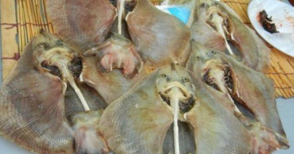 Hongeo - Cá đuối lên men: Món Hongeo luôn có mặt trong danh sách các món ăn kinh dị và "khó ngửi" của Hàn Quốc. Thịt cá đuối được làm sạch rồi để lên men tự nhiên trong hũ đậy kín khoảng 1 tuần. Do đó không có gì khó hiểu khi người ta nhận xét mùi của Hongeo giống như… mùi của toilet.