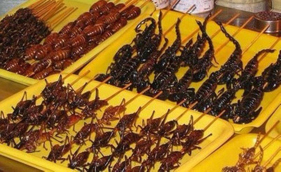 Thế nhưng, không phải ai cũng đủ can đảm cho từng con côn trùng vào miệng, nhất là những con gián hoặc bọ cạp. Thậm chí, có người phải "nôn thốc nôn tháo" và nhổ vội con gián ra ngoài.