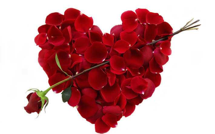Theo ước tính, vào ngày lễ Valentine, 224 triệu bông hoa hồng được sử dụng.