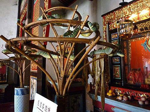 Năm 1850, một nhà sư Trung Quốc mang tượng Chor Soo Kong đến đây và dựng đền để thờ phụng ở Bayan Lepas, Penang. Sau khi đền được xây dựng, rắn từ khu rừng xung quanh tìm đến và sống luôn tại đó. Do vậy, đền còn có tên gọi quen thuộc khác là đền Rắn.