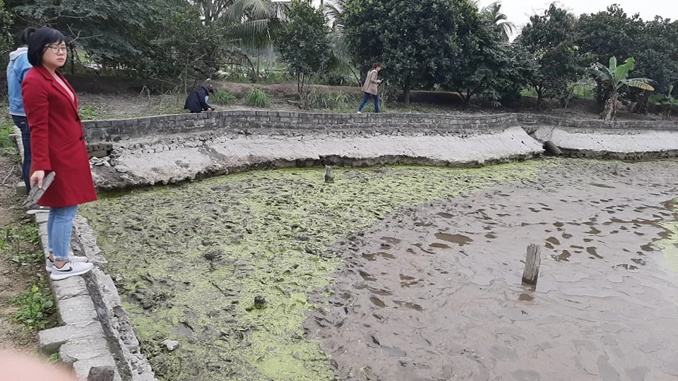 Khai quật khẩn cấp 13 cọc gỗ nghi của trận chiến thắng Bạch Đằng