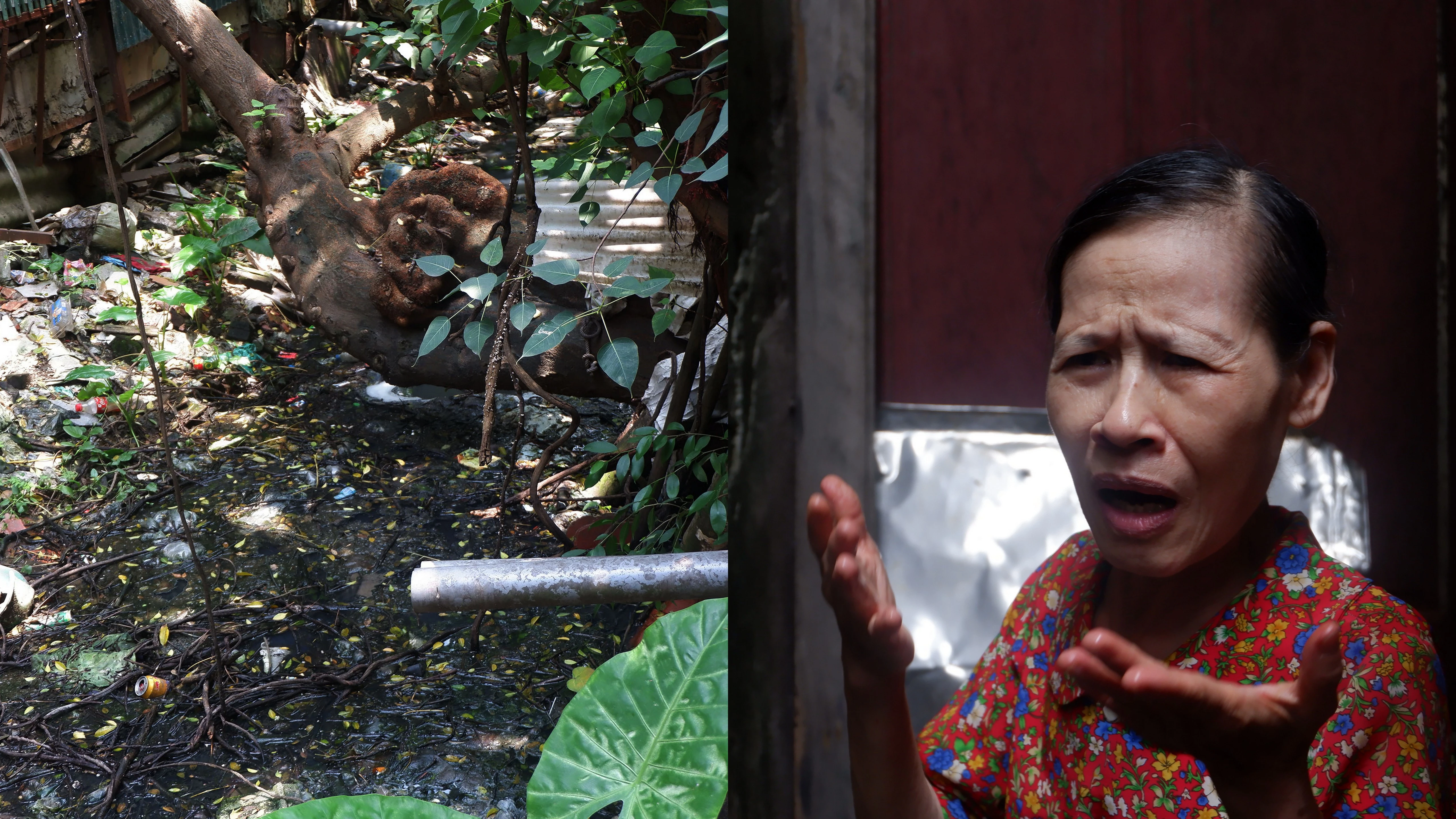 Người dân Thủ đô "khóc thét" sống cạnh con mương ngập rác thải