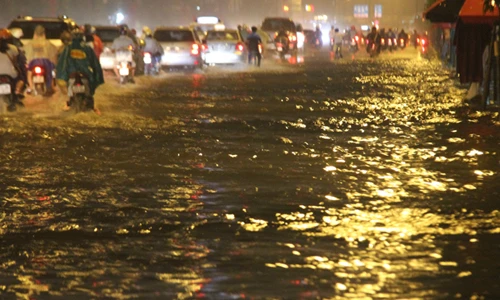 TP HCM mưa lớn kéo dài... đường phố thành sông, cây đổ rạp