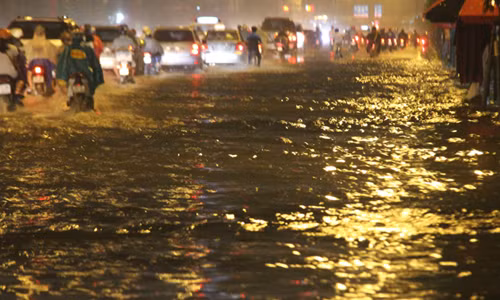 TP HCM mưa lớn kéo dài... đường phố thành sông, cây đổ rạp