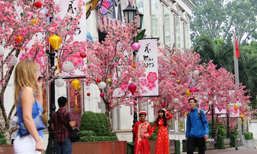 Sài Gòn ngập tràn không khí Tết