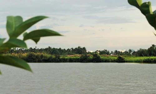 Xót xa dự án công viên trăm tỉ ven sông hoang tàn