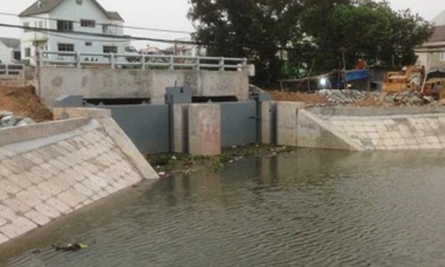 Người Sài Gòn ăn cơm trong... màn vì muỗi tấn công