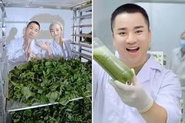 [SPOTLIGHT] 76.000 hộp bột rau do diễn viên Hữu Công quảng bá bị tiêu hủy