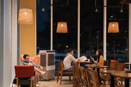 [VIDEO] Chủ quán cà phê đau đầu vì bản quyền nhạc: Mua gói vẫn sai luật