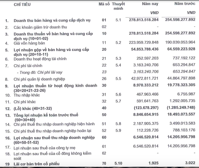 Kết quả kinh doanh năm 2024 của UPC screen-shot-2025-06-06-at-073244.png
