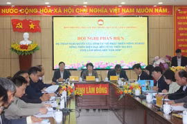 Tại hội nghị phản biện, nhiều chuyên gia đề nghị Lâm Đồng rà soát kỹ mục tiêu đến năm 2030, gắn kết quả đầu ra với nguồn lực và điểm xuất phát ở từng địa phương.