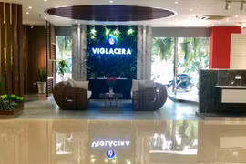 Viglacera sắp chi gần 1.000 tỷ đồng trả cổ tức tiền mặt 22%