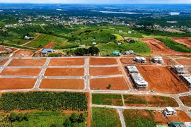 Lãnh đạo UBND tỉnh Lâm Đồng yêu cầu các sở, ngành đẩy nhanh tiến độ xác định giá đất, xây dựng kịch bản bù thu để bảo đảm hoàn thành chỉ tiêu năm 2026.