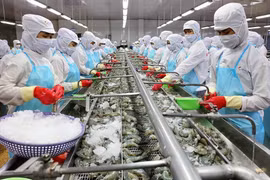 Chưa đầy 1 tháng, Minh Phú lập liền hai công ty con tại Canada và Úc