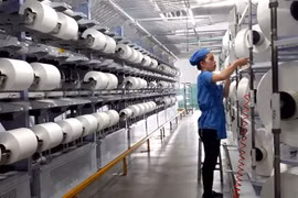 Sợi Thế Kỷ báo lỗ quý 3, 6 tháng mới đạt 10% lợi nhuận năm